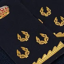 categorias profesionales policia nacional