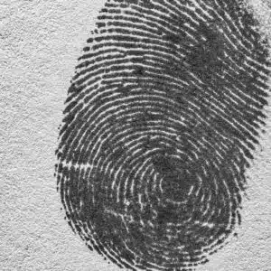 Actualización procedimiento detención policial